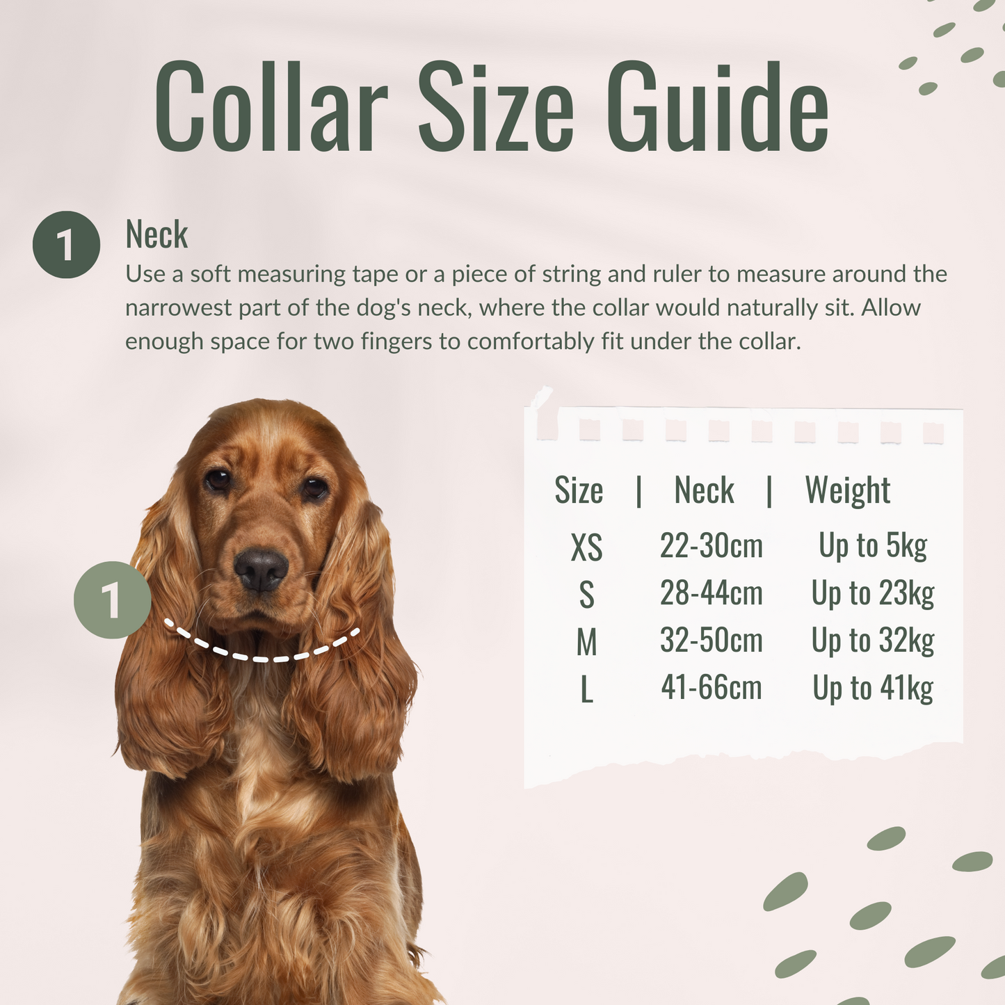 Dog Collar - The Wallflower