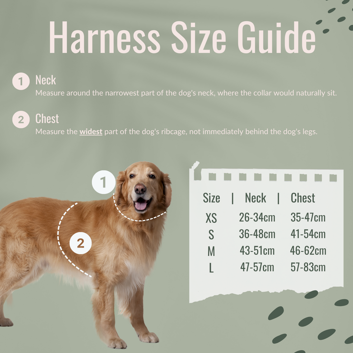 Dog Harness - Jurassic Coast