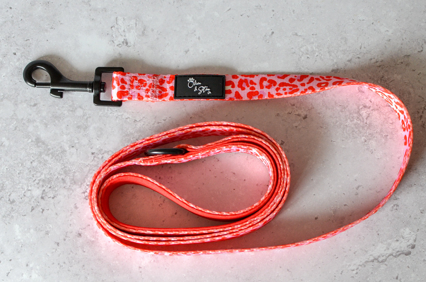 Dog Collar and Lead Bundle - Wild Thing