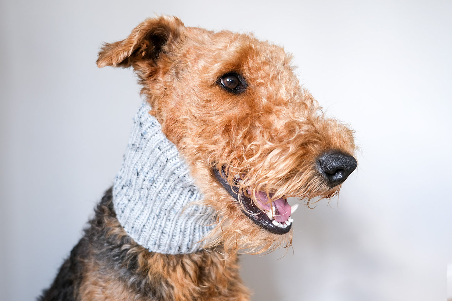 Hand Knitted Dog Snood - Grey Fleck